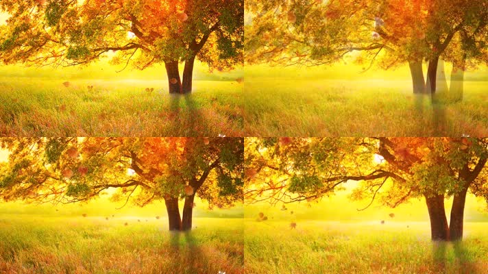 金色秋天回忆舞台舞蹈背景素材