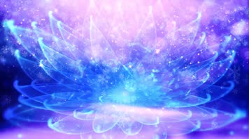 雪绒花黑鸭子配乐成品