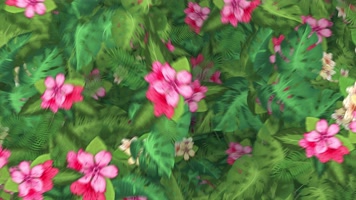 鲜花转场 舞台背景  