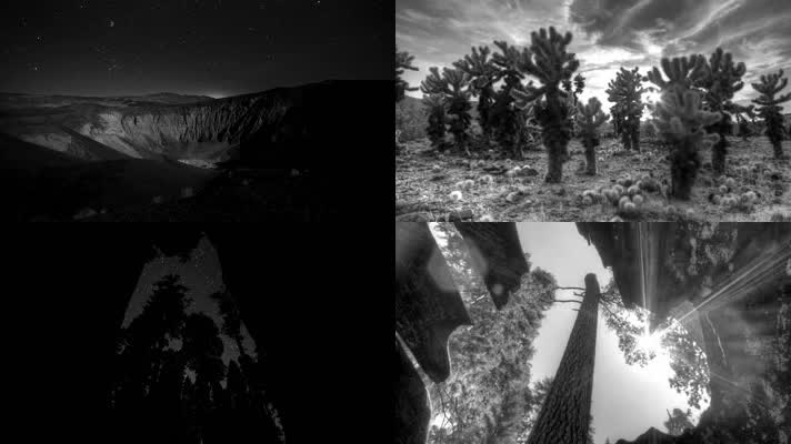 唯美星空延迟拍摄