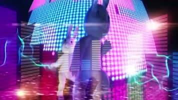 兔子舞DJ大屏儿童歌曲配乐成品 