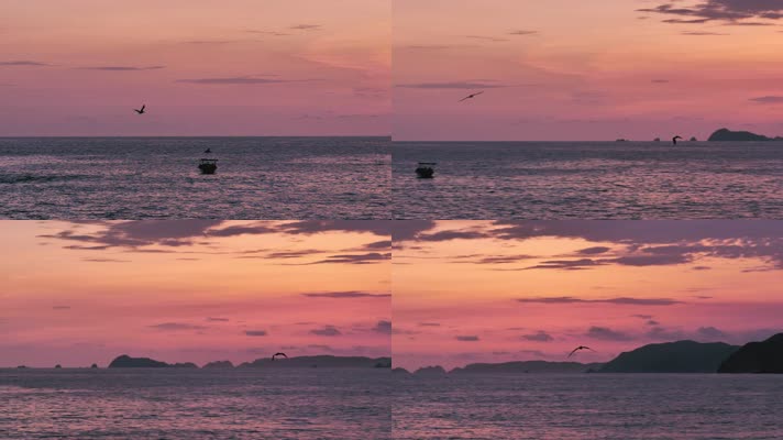 夕阳下大海上空海鸥飞翔