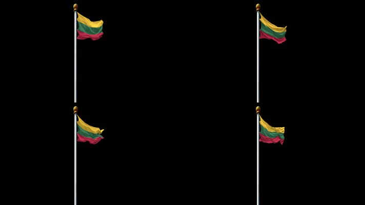 立陶宛国旗带通道