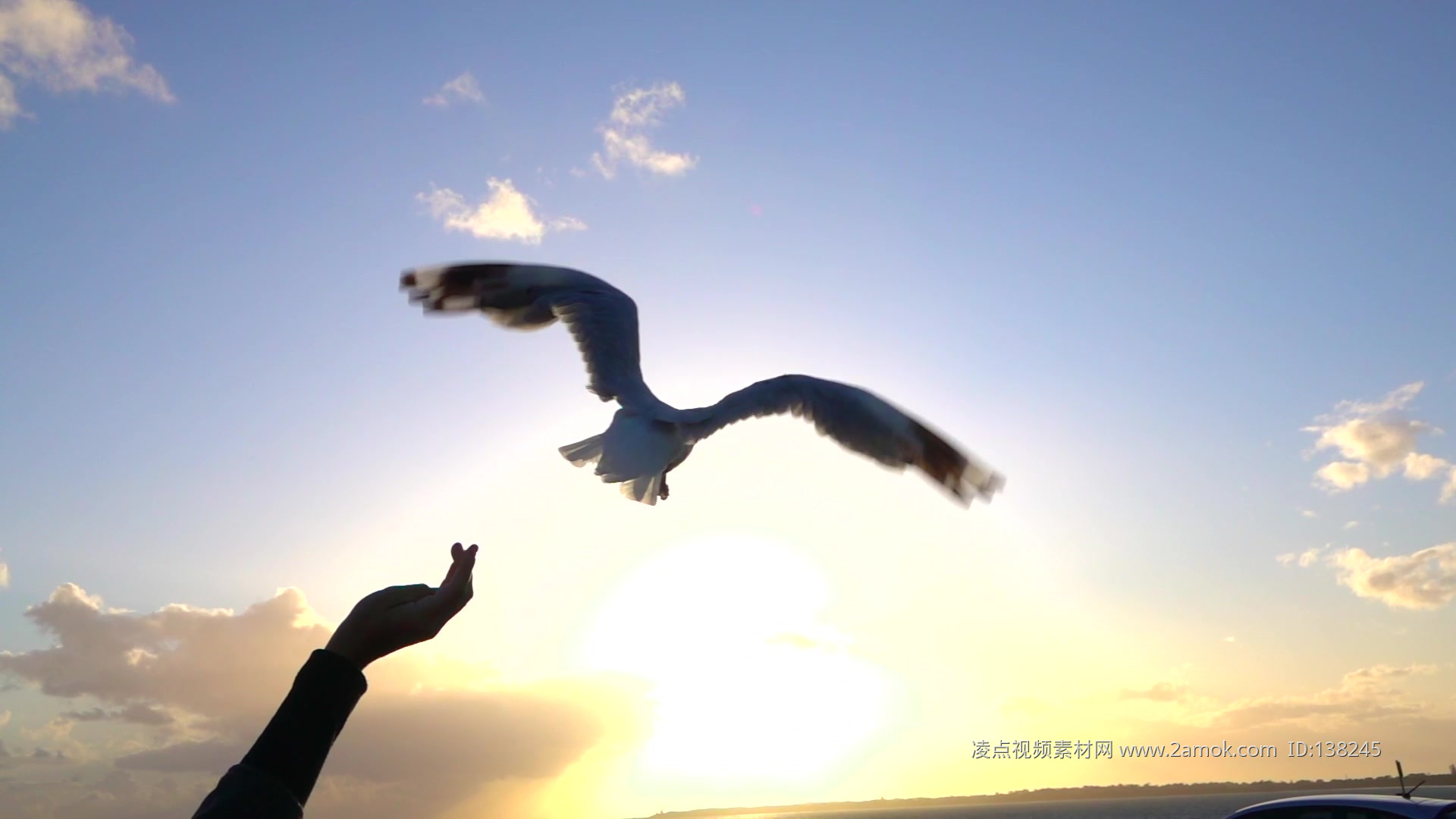 大海 海鸥蓝天白云高清背景图片,ppt图片 - 51PPT模板网