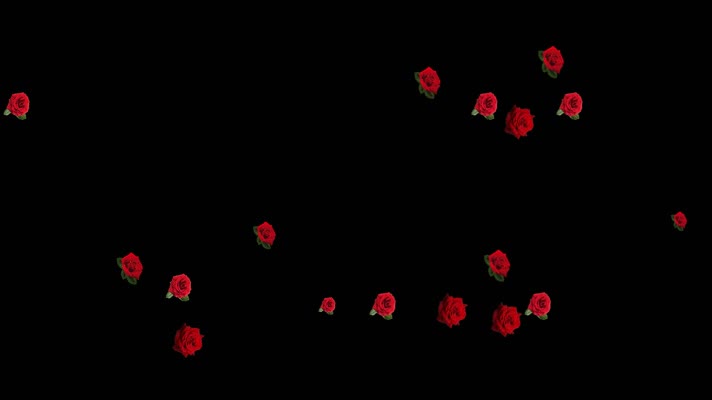 红色玫瑰花带透明通道