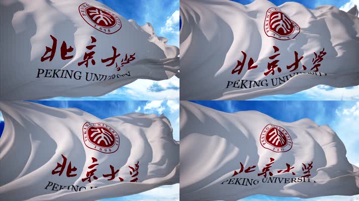 北京大学北大旗帜
