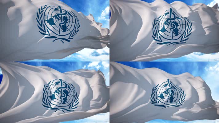 世卫世界卫生组织WHO旗帜飘扬