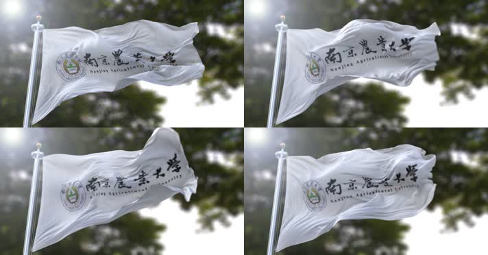 【4K】校旗·南京农业大学