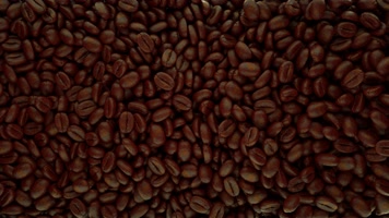 巧克力豆素材(带透明通道）