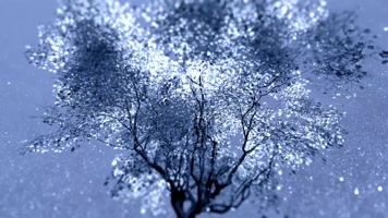 经典冬天雪花树木旋转音乐剧背景素材