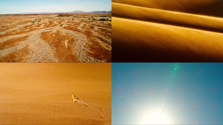 沙漠 大漠 酷热 戈壁 炎热  