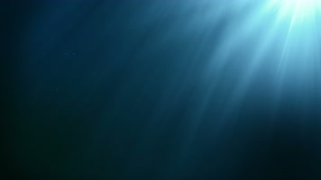 【4K】深海光线