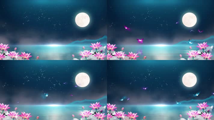 月夜荷花蝴蝶水面背景循环