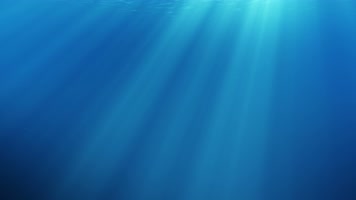 【4K】深海光线