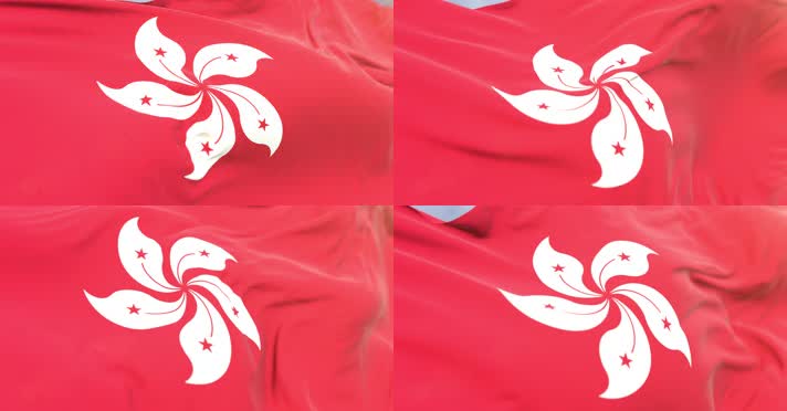 【4k】香港旗帜飘扬(循环)
