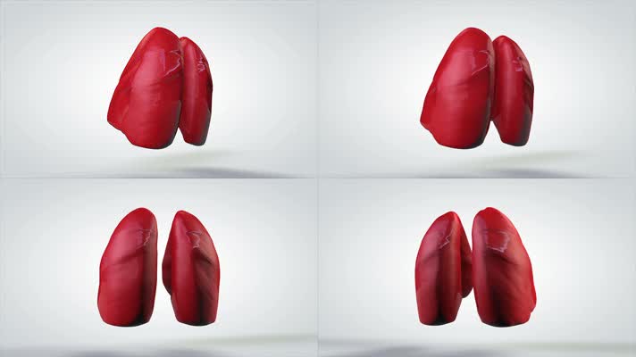 三维人体心脏模型架构元素医疗研究视频