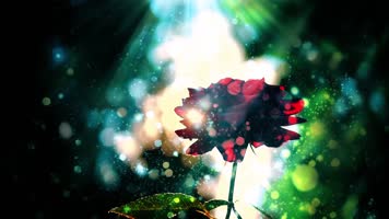 玫瑰玫瑰我爱你配乐成品