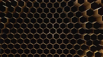 【4K】金色蜂巢