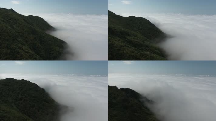 4k航拍清晨唯美意境的迷雾森林云海