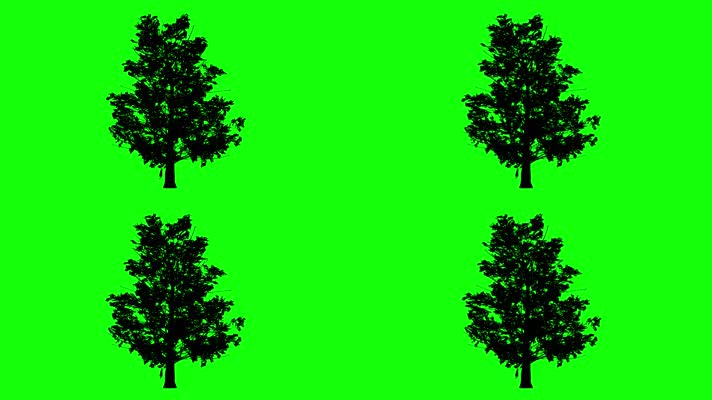 绿色树木抠图素材