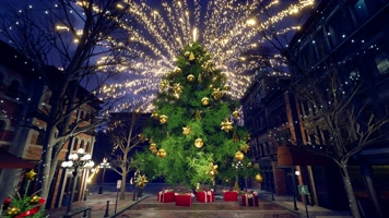 街道上的圣诞树