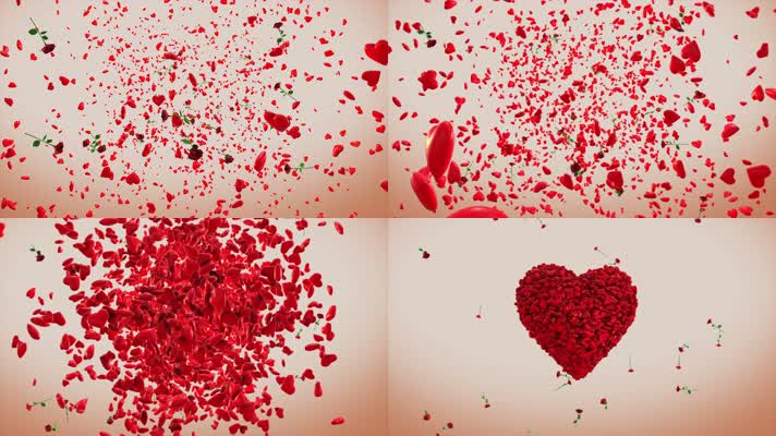 【4K】爱和玫瑰汇集成心