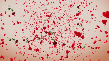 【4K】爱和玫瑰汇集成心