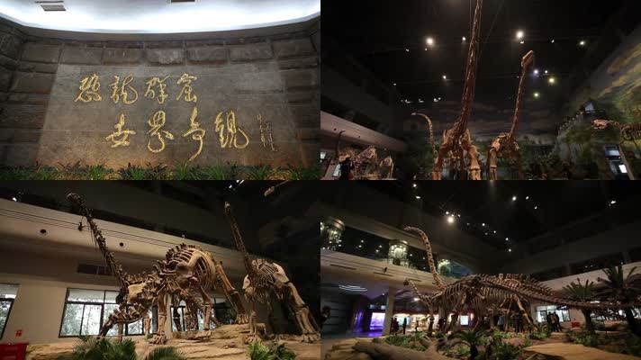 恐龙遗址 恐龙化石遗址 恐龙化石 参观恐龙博物馆 四川旅游 自贡旅游
