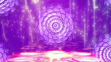 异域风情肚皮舞印度舞肚皮舞欢乐的跳吧 异域风情肚皮舞印度舞肚皮舞欢乐的跳吧