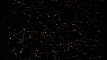 筑梦人屏互动秀自我的进化创造的知识主题