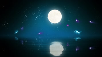 月亮月色蝴蝶湖面背景循环