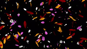 五颜六色的花瓣