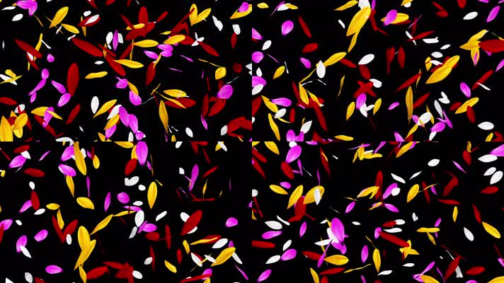 五颜六色的花瓣