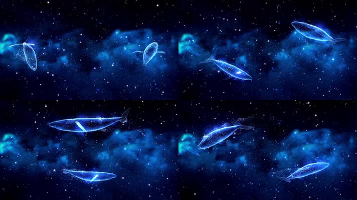 大鱼星空背景循环