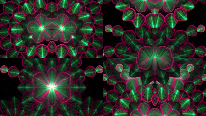 花瓣 花纹 万花筒变幻