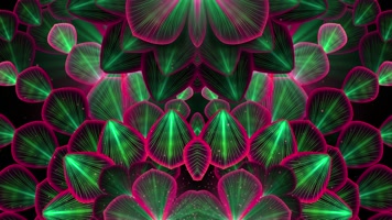 花瓣 花纹 万花筒变幻 花瓣 花纹 万花筒变幻