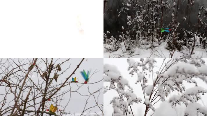 冬季雪景蝴蝶飞舞