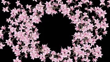 兰花(带透明通道) 兰花(带透明通道)