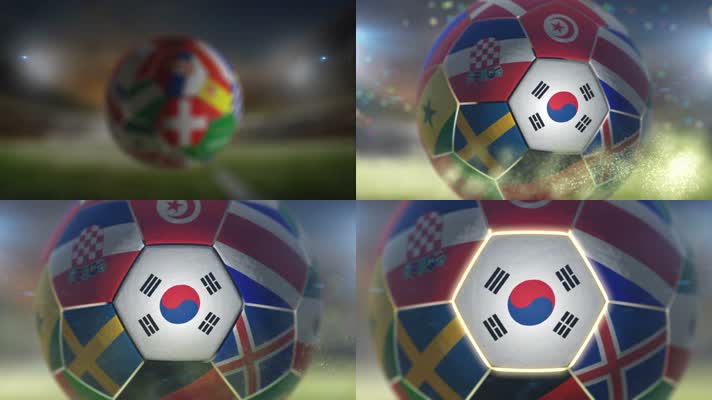 韩国足球 万国国旗 世界杯  