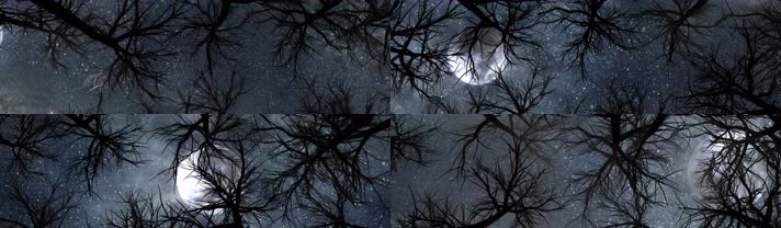 月亮繁星星空宽屏（4K）