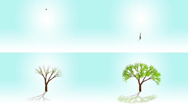 种子发芽生长成参天大树