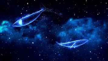 《漂洋过海来看你》歌曲背景