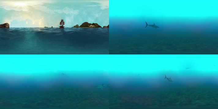 【VR全景】海中鲨鱼