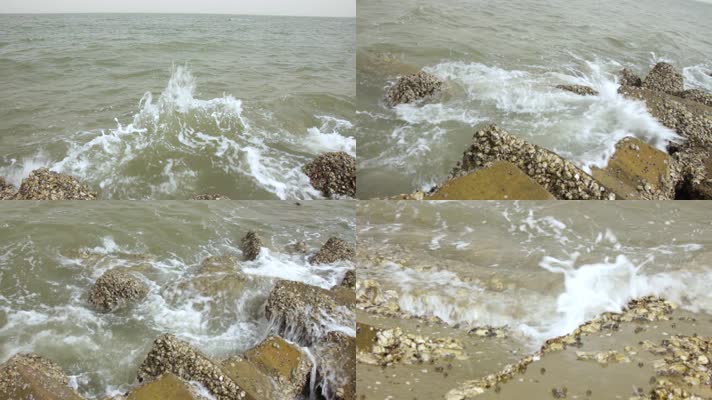 海边 贝壳 海浪拍打石头