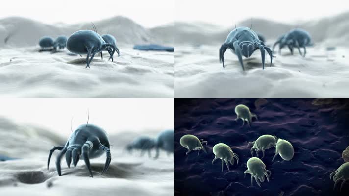 螨虫三维动画细菌病菌病毒3d动画