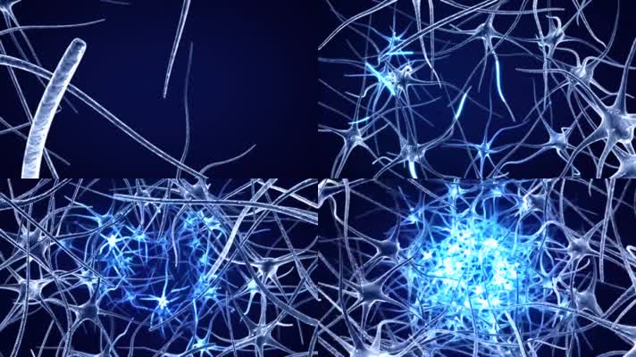 大脑细胞神经元电信号传导肌理三维动画
