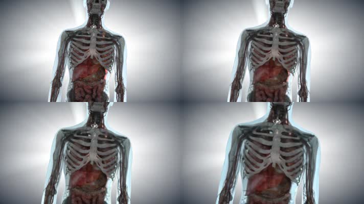 人体肌理病理3D动画