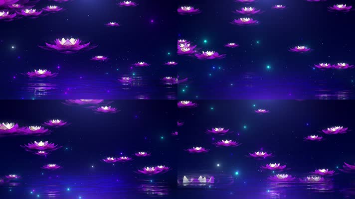 莲花上升背景循环