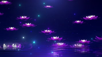 莲花上升背景循环