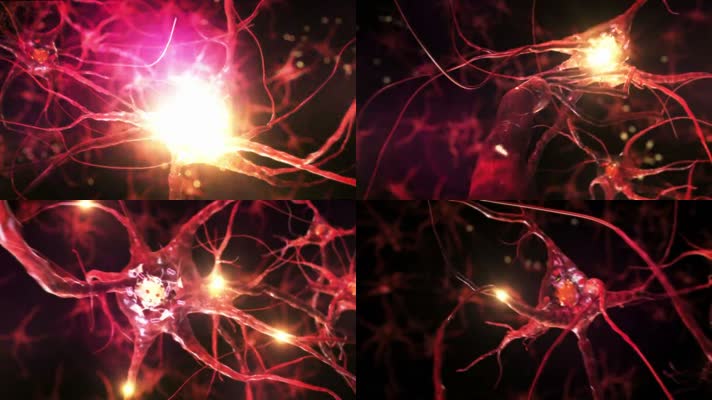 大脑细胞神经元电信号传导医疗三维肌理动画